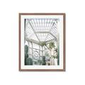 Picture of Tropical Greenhouse lll _GroupedProduct_Rectangle_Portrait_Photography _GroupedProduct_Rectangle_Portrait_Framed_Matted_