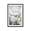 Picture of Tropical Greenhouse lll _GroupedProduct_Rectangle_Portrait_Photography _GroupedProduct_Rectangle_Portrait_Framed_Matted_