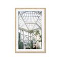 Picture of Tropical Greenhouse lll _GroupedProduct_Rectangle_Portrait_Photography _GroupedProduct_Rectangle_Portrait_Framed_Matted_