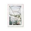 Picture of Tropical Greenhouse lll _GroupedProduct_Rectangle_Portrait_Photography _GroupedProduct_Rectangle_Portrait_Framed_Matted_
