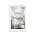 Picture of Tropical Greenhouse lll _GroupedProduct_Rectangle_Portrait_Photography _GroupedProduct_Rectangle_Portrait_Framed_Matted_