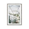 Picture of Tropical Greenhouse lll _GroupedProduct_Rectangle_Portrait_Photography _GroupedProduct_Rectangle_Portrait_Framed_Matted_