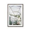 Picture of Tropical Greenhouse lll _GroupedProduct_Rectangle_Portrait_Photography _GroupedProduct_Rectangle_Portrait_Framed_Matted_