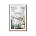 Picture of Tropical Greenhouse lll _GroupedProduct_Rectangle_Portrait_Photography _GroupedProduct_Rectangle_Portrait_Framed_Matted_