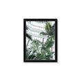 Picture of Tropical Greenhouse ll _GroupedProduct_Rectangle_Portrait_Photography _GroupedProduct_Rectangle_Portrait_Framed_Matted_