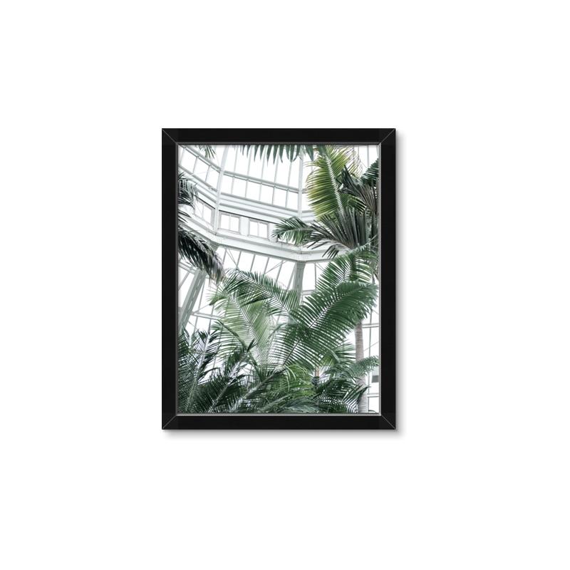 Picture of Tropical Greenhouse ll _GroupedProduct_Rectangle_Portrait_Photography _GroupedProduct_Rectangle_Portrait_Framed_Matted_