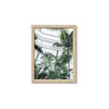 Picture of Tropical Greenhouse ll _GroupedProduct_Rectangle_Portrait_Photography _GroupedProduct_Rectangle_Portrait_Framed_Matted_