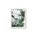 Picture of Tropical Greenhouse ll _GroupedProduct_Rectangle_Portrait_Photography _GroupedProduct_Rectangle_Portrait_Framed_Matted_