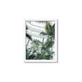 Picture of Tropical Greenhouse ll _GroupedProduct_Rectangle_Portrait_Photography _GroupedProduct_Rectangle_Portrait_Framed_Matted_