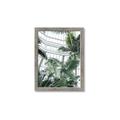 Picture of Tropical Greenhouse ll _GroupedProduct_Rectangle_Portrait_Photography _GroupedProduct_Rectangle_Portrait_Framed_Matted_