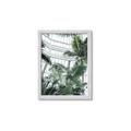 Picture of Tropical Greenhouse ll _GroupedProduct_Rectangle_Portrait_Photography _GroupedProduct_Rectangle_Portrait_Framed_Matted_