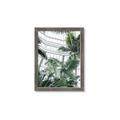 Picture of Tropical Greenhouse ll _GroupedProduct_Rectangle_Portrait_Photography _GroupedProduct_Rectangle_Portrait_Framed_Matted_