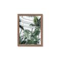 Picture of Tropical Greenhouse ll _GroupedProduct_Rectangle_Portrait_Photography _GroupedProduct_Rectangle_Portrait_Framed_Matted_