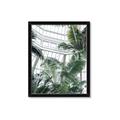 Picture of Tropical Greenhouse ll _GroupedProduct_Rectangle_Portrait_Photography _GroupedProduct_Rectangle_Portrait_Framed_Matted_