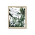 Picture of Tropical Greenhouse ll _GroupedProduct_Rectangle_Portrait_Photography _GroupedProduct_Rectangle_Portrait_Framed_Matted_