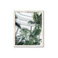 Picture of Tropical Greenhouse ll _GroupedProduct_Rectangle_Portrait_Photography _GroupedProduct_Rectangle_Portrait_Framed_Matted_