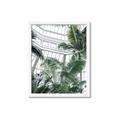 Picture of Tropical Greenhouse ll _GroupedProduct_Rectangle_Portrait_Photography _GroupedProduct_Rectangle_Portrait_Framed_Matted_