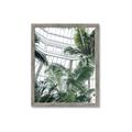 Picture of Tropical Greenhouse ll _GroupedProduct_Rectangle_Portrait_Photography _GroupedProduct_Rectangle_Portrait_Framed_Matted_