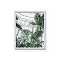 Picture of Tropical Greenhouse ll _GroupedProduct_Rectangle_Portrait_Photography _GroupedProduct_Rectangle_Portrait_Framed_Matted_