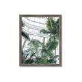 Picture of Tropical Greenhouse ll _GroupedProduct_Rectangle_Portrait_Photography _GroupedProduct_Rectangle_Portrait_Framed_Matted_