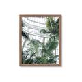 Picture of Tropical Greenhouse ll _GroupedProduct_Rectangle_Portrait_Photography _GroupedProduct_Rectangle_Portrait_Framed_Matted_
