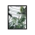Picture of Tropical Greenhouse ll _GroupedProduct_Rectangle_Portrait_Photography _GroupedProduct_Rectangle_Portrait_Framed_Matted_