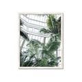 Picture of Tropical Greenhouse ll _GroupedProduct_Rectangle_Portrait_Photography _GroupedProduct_Rectangle_Portrait_Framed_Matted_