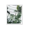 Picture of Tropical Greenhouse ll _GroupedProduct_Rectangle_Portrait_Photography _GroupedProduct_Rectangle_Portrait_Framed_Matted_