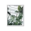 Picture of Tropical Greenhouse ll _GroupedProduct_Rectangle_Portrait_Photography _GroupedProduct_Rectangle_Portrait_Framed_Matted_