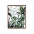 Picture of Tropical Greenhouse ll _GroupedProduct_Rectangle_Portrait_Photography _GroupedProduct_Rectangle_Portrait_Framed_Matted_