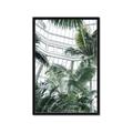 Picture of Tropical Greenhouse ll _GroupedProduct_Rectangle_Portrait_Photography _GroupedProduct_Rectangle_Portrait_Framed_Matted_