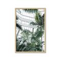 Picture of Tropical Greenhouse ll _GroupedProduct_Rectangle_Portrait_Photography _GroupedProduct_Rectangle_Portrait_Framed_Matted_