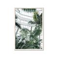 Picture of Tropical Greenhouse ll _GroupedProduct_Rectangle_Portrait_Photography _GroupedProduct_Rectangle_Portrait_Framed_Matted_