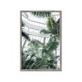 Picture of Tropical Greenhouse ll _GroupedProduct_Rectangle_Portrait_Photography _GroupedProduct_Rectangle_Portrait_Framed_Matted_