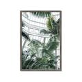 Picture of Tropical Greenhouse ll _GroupedProduct_Rectangle_Portrait_Photography _GroupedProduct_Rectangle_Portrait_Framed_Matted_