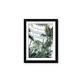 Picture of Tropical Greenhouse ll _GroupedProduct_Rectangle_Portrait_Photography _GroupedProduct_Rectangle_Portrait_Framed_Matted_