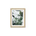 Picture of Tropical Greenhouse ll _GroupedProduct_Rectangle_Portrait_Photography _GroupedProduct_Rectangle_Portrait_Framed_Matted_