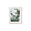 Picture of Tropical Greenhouse ll _GroupedProduct_Rectangle_Portrait_Photography _GroupedProduct_Rectangle_Portrait_Framed_Matted_
