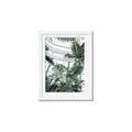 Picture of Tropical Greenhouse ll _GroupedProduct_Rectangle_Portrait_Photography _GroupedProduct_Rectangle_Portrait_Framed_Matted_