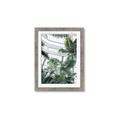 Picture of Tropical Greenhouse ll _GroupedProduct_Rectangle_Portrait_Photography _GroupedProduct_Rectangle_Portrait_Framed_Matted_