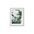 Picture of Tropical Greenhouse ll _GroupedProduct_Rectangle_Portrait_Photography _GroupedProduct_Rectangle_Portrait_Framed_Matted_