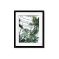 Picture of Tropical Greenhouse ll _GroupedProduct_Rectangle_Portrait_Photography _GroupedProduct_Rectangle_Portrait_Framed_Matted_