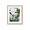 Picture of Tropical Greenhouse ll _GroupedProduct_Rectangle_Portrait_Photography _GroupedProduct_Rectangle_Portrait_Framed_Matted_