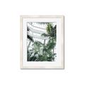 Picture of Tropical Greenhouse ll _GroupedProduct_Rectangle_Portrait_Photography _GroupedProduct_Rectangle_Portrait_Framed_Matted_