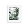 Picture of Tropical Greenhouse ll _GroupedProduct_Rectangle_Portrait_Photography _GroupedProduct_Rectangle_Portrait_Framed_Matted_