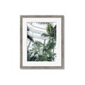 Picture of Tropical Greenhouse ll _GroupedProduct_Rectangle_Portrait_Photography _GroupedProduct_Rectangle_Portrait_Framed_Matted_