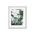 Picture of Tropical Greenhouse ll _GroupedProduct_Rectangle_Portrait_Photography _GroupedProduct_Rectangle_Portrait_Framed_Matted_