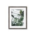 Picture of Tropical Greenhouse ll _GroupedProduct_Rectangle_Portrait_Photography _GroupedProduct_Rectangle_Portrait_Framed_Matted_