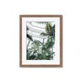 Picture of Tropical Greenhouse ll _GroupedProduct_Rectangle_Portrait_Photography _GroupedProduct_Rectangle_Portrait_Framed_Matted_