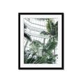 Picture of Tropical Greenhouse ll _GroupedProduct_Rectangle_Portrait_Photography _GroupedProduct_Rectangle_Portrait_Framed_Matted_